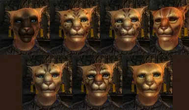 Khajiit