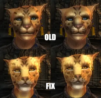 Khajiit fix