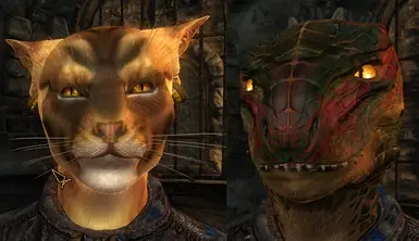 New Khajiit & Argonian markings