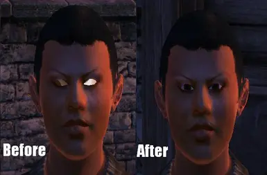 Thieves Arsenal Eye Fix