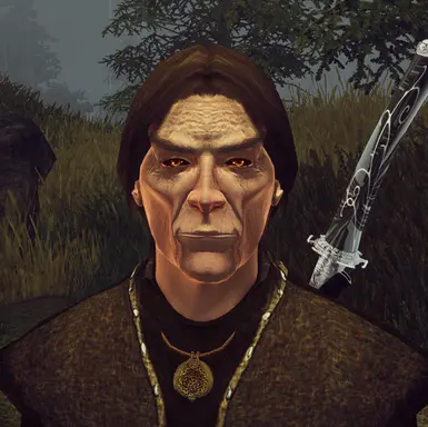 Vicente Valiteri Without Vampire Race Disabler Tweaks.