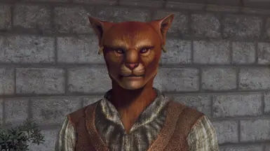 Unused Khajiit Eyes.