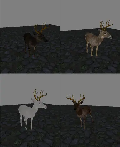 deer variants