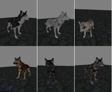 dog variants