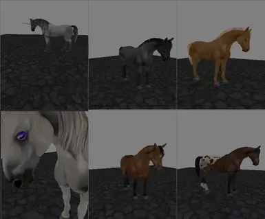 horse variants