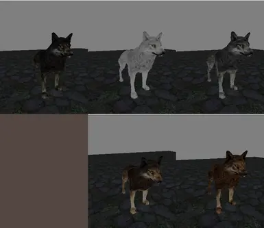 wolf variants