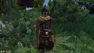 New highwayman spawn points, showing a male Khajiit highwayman (as in vanilla).