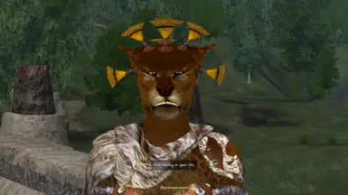 A female Khajiit highwaywoman.