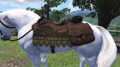 Default Saddle/Tack