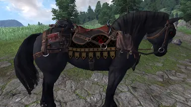 Shadowmere Saddle/Tack