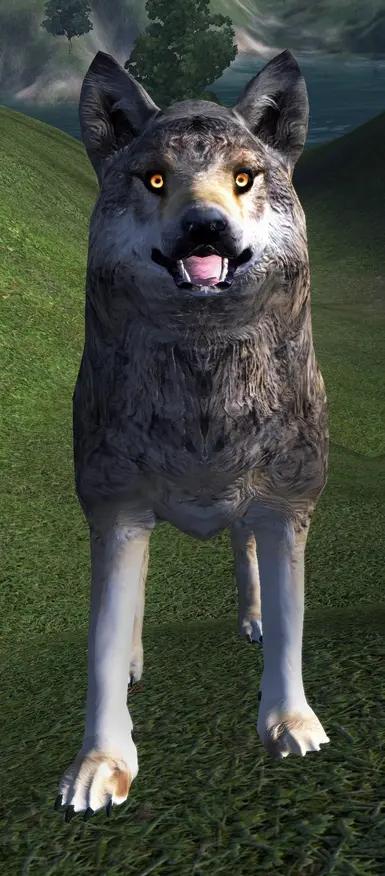 Revamped Vanilla Wolf