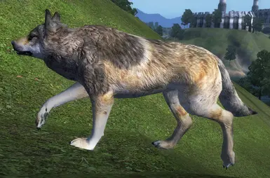 Revamped Vanilla Wolf