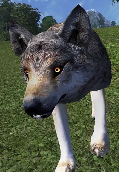 Revamped Vanilla Wolf