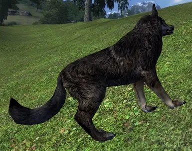 Revamped MOO Direwolf