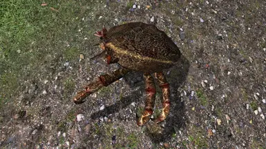 OG Mudcrabs!