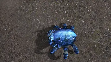 MOO Tree Crab