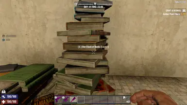 Stack of Books (Storage Chest)