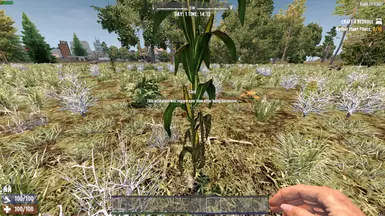 Random Regrowing Wild Crops