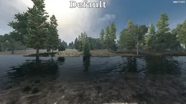 Default