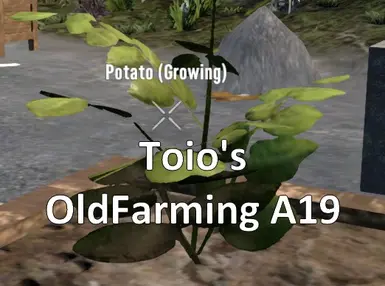 Toio's OldFarming (V1.0)