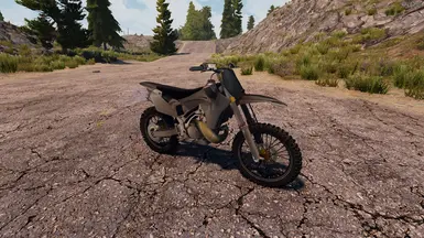 Dirt Bike (1.0)