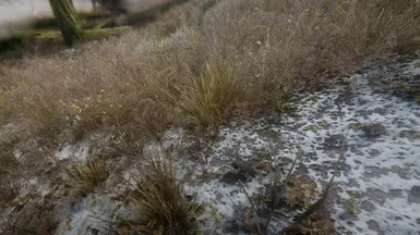 Frozen Marsh