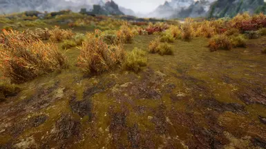 Whiterun tundra without extra grass