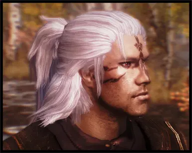 Geralt Witcher hair included in next version