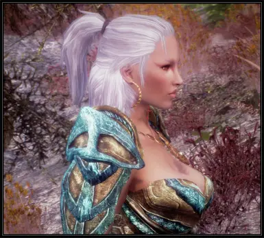 Witcher hair for females v_1_3