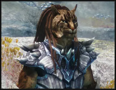 Male Khajiit long dreads v_1_3