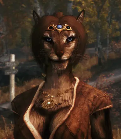 Ponytail for Khajiit coming next update