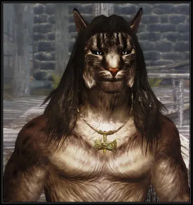 Male Khajiit long hair v_1_3