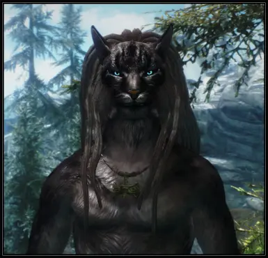 Male Khajiit long dreads v_1_3