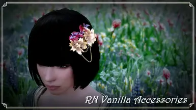 RN Vanilla Accessories