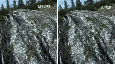 Moss Rocks Comparison