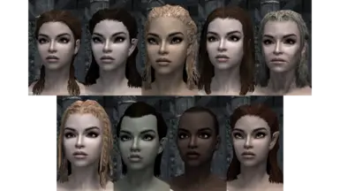 Modded races (Breton, Dark Elf, High Elf, Imperial, Elder, Nord, Orc, Redguard, Wood Elf)