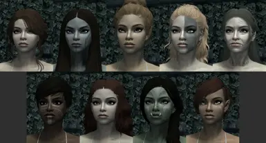 Modded races (Breton, Dark Elf, High Elf, Nord, Elder, Redguard, Imperial, Orc, Wood Elf)