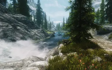 STEP with Wilds ENB