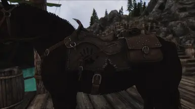 Shadowmere Saddle