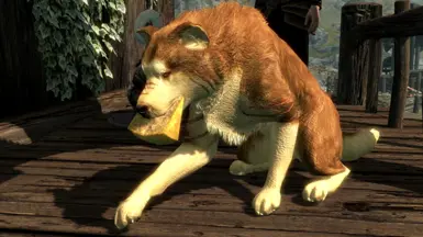 Animated Dog Feeding LE