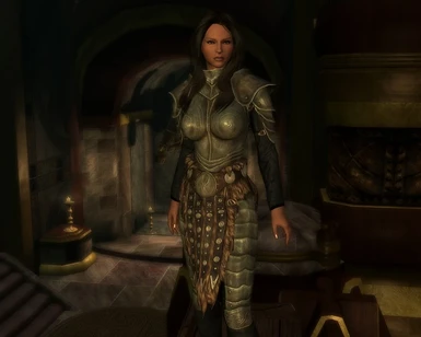 Steel Plate Armor --Nord plate--