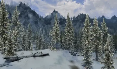 Snowy Pines in v172