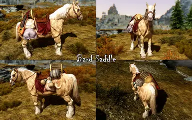 Bard Saddle