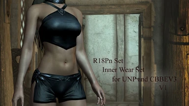 R18Pn Set - Inner Wear Set for UNP and CBBEV3