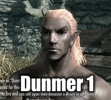 Dunmer 1