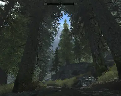 Near Riverwood