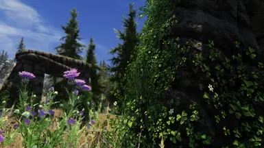 Project ENB