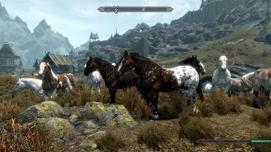 Horses