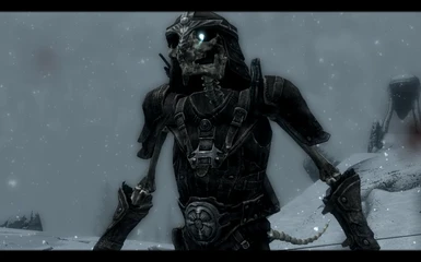Armored Khajiit Skeleton