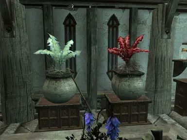 Nirnroot and Crimson Nirnroot